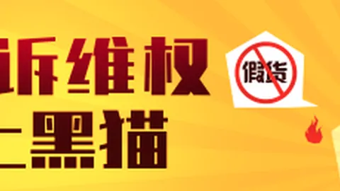 利兹联主场狂欢：4-1大胜纽卡斯尔联，麦利乌龙添彩